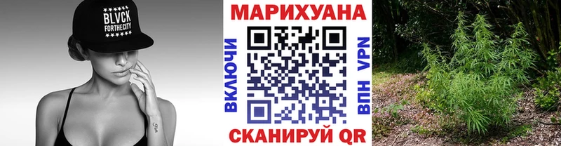 Купить где  Омутнинск  Канабис SATIVA & INDICA 